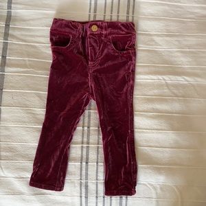 7 for all mankind Maroon Burgendy Velvet Pants 12 Months 12m